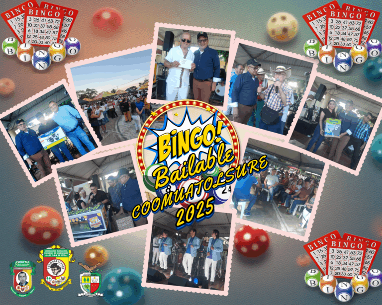 BINGO 2025